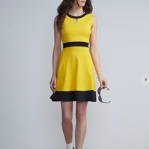 New York & Company Piped Flare Dress - City Knits